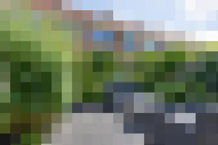 Roelof Bootstraat 61 Edam thumbnail 23