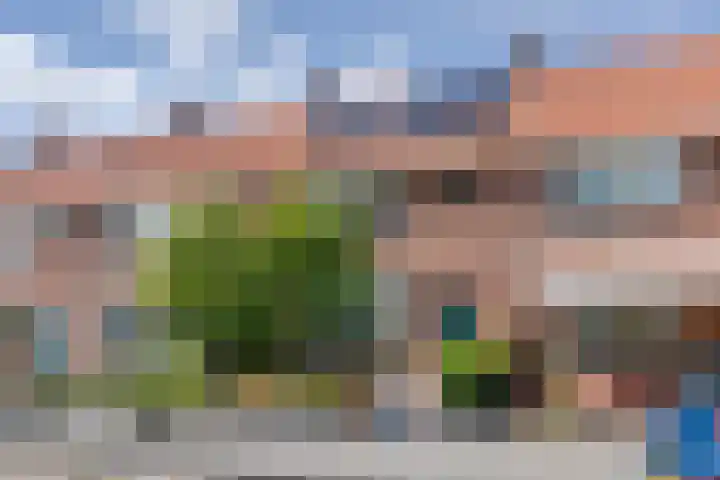 Roelof Bootstraat 61 Edam thumbnail 62