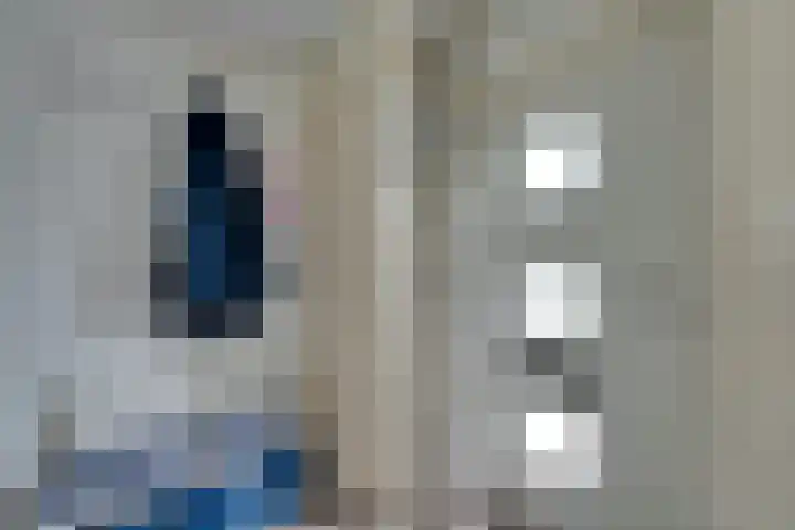 Roelof Bootstraat 61 Edam thumbnail 8