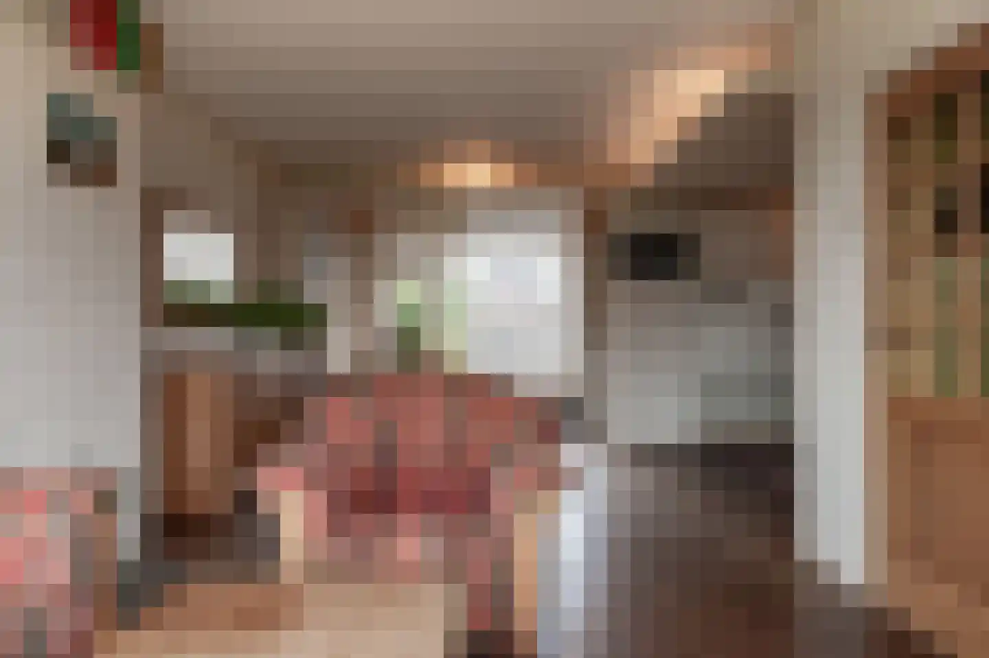 Roelof Bootstraat 76 Edam thumbnail 14