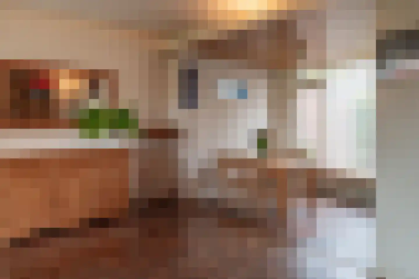 Roelof Bootstraat 76 Edam thumbnail 16