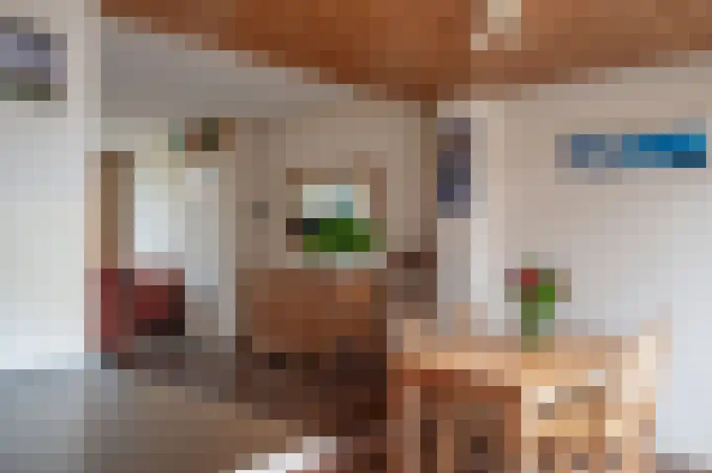 Roelof Bootstraat 76 Edam thumbnail 17