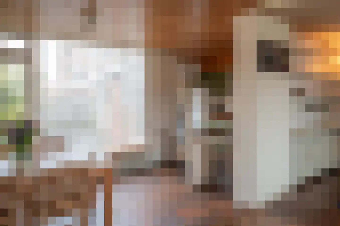 Roelof Bootstraat 76 Edam thumbnail 23