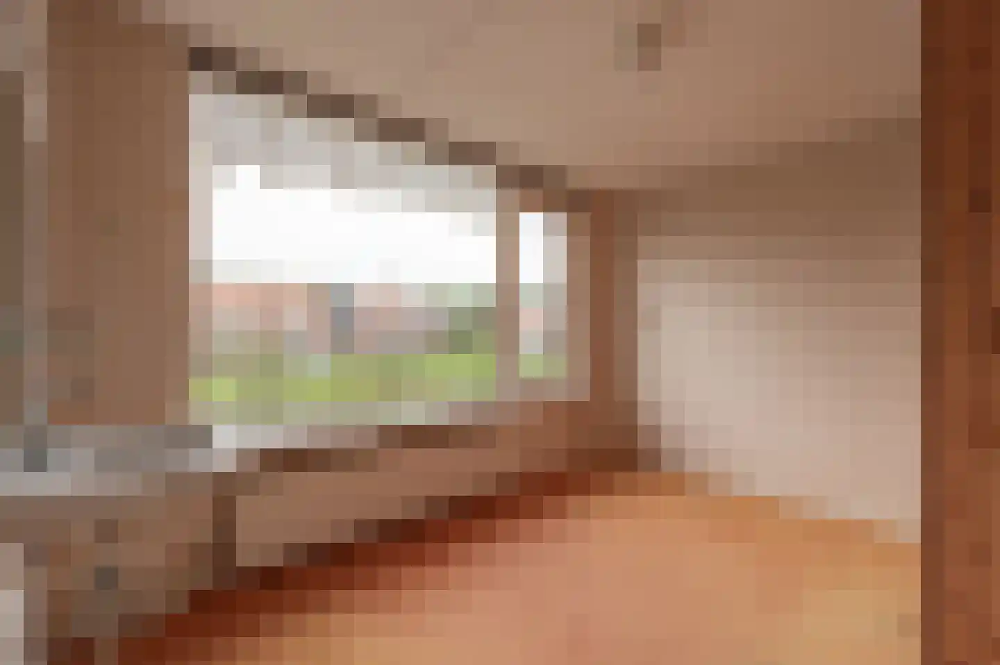 Roelof Bootstraat 76 Edam thumbnail 38