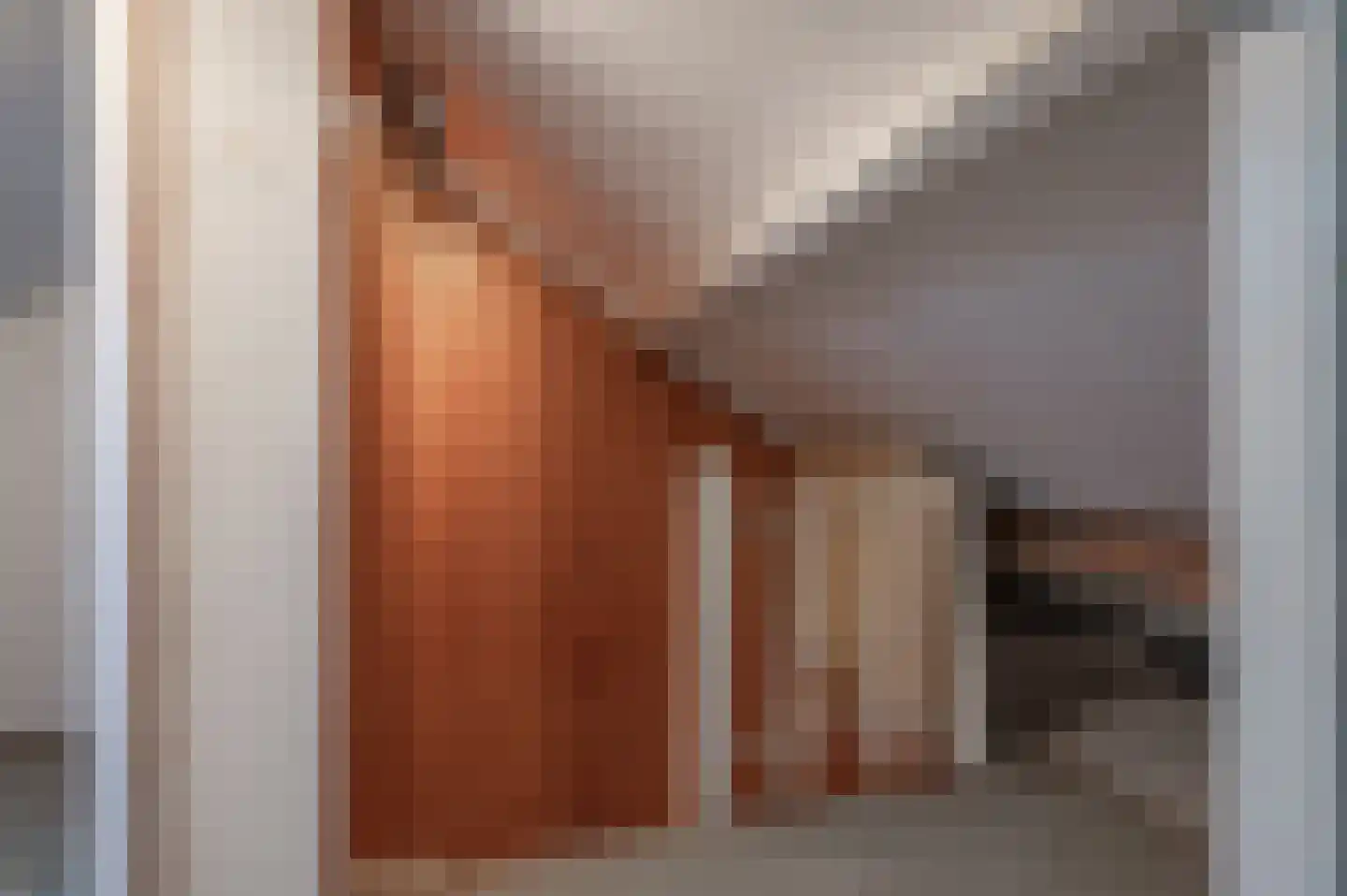 Roelof Bootstraat 76 Edam thumbnail 41