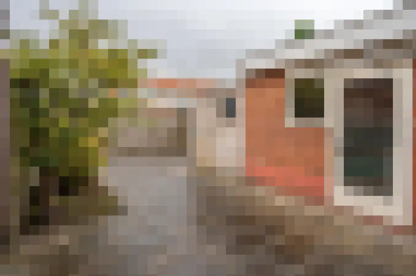 Roelof Bootstraat 76 Edam thumbnail 49
