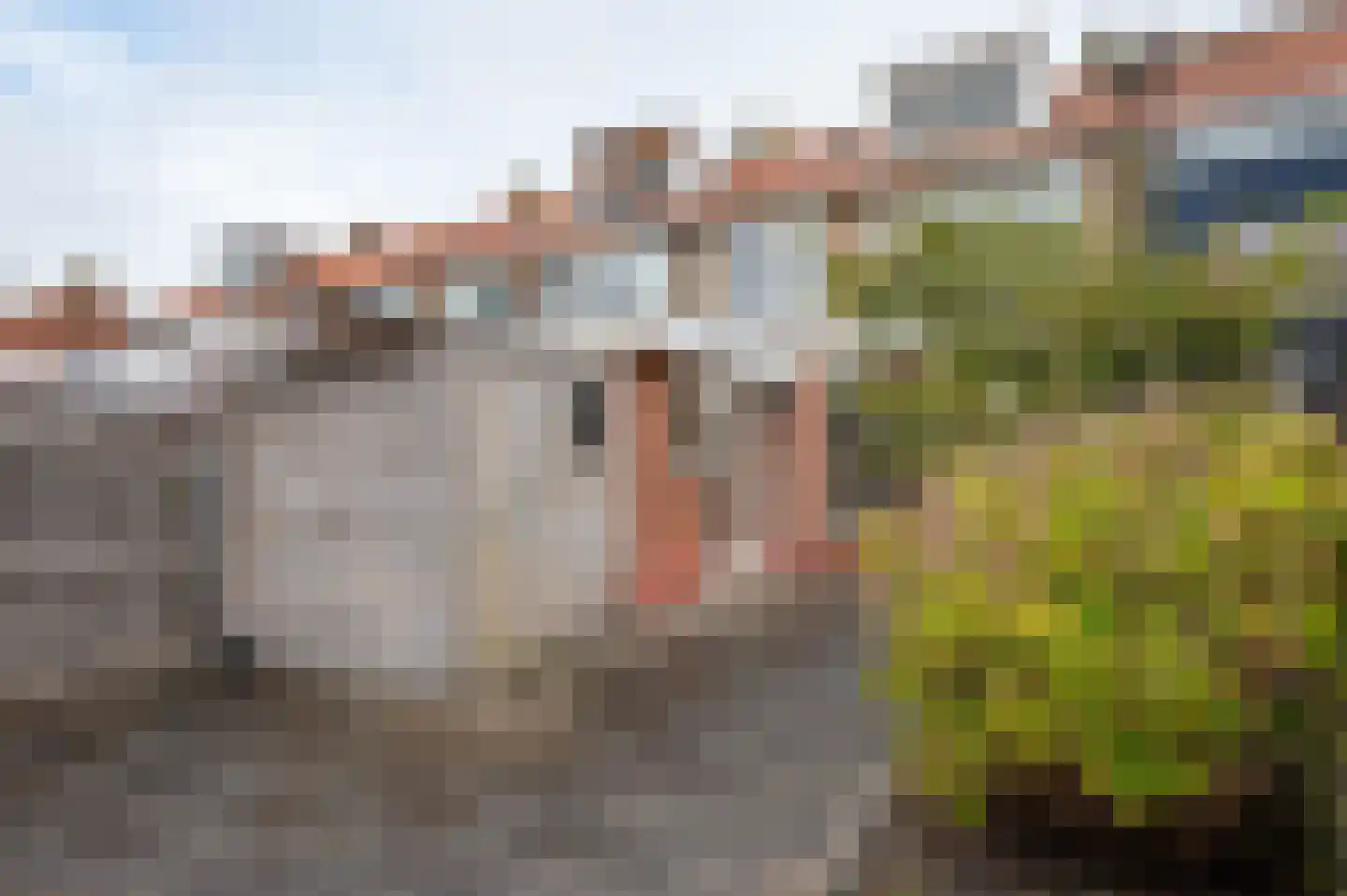 Roelof Bootstraat 76 Edam thumbnail 51
