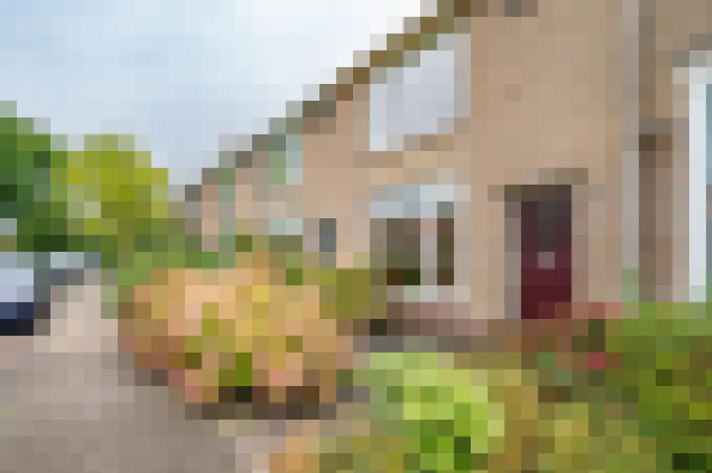 Roelof Bootstraat 76 Edam thumbnail 8