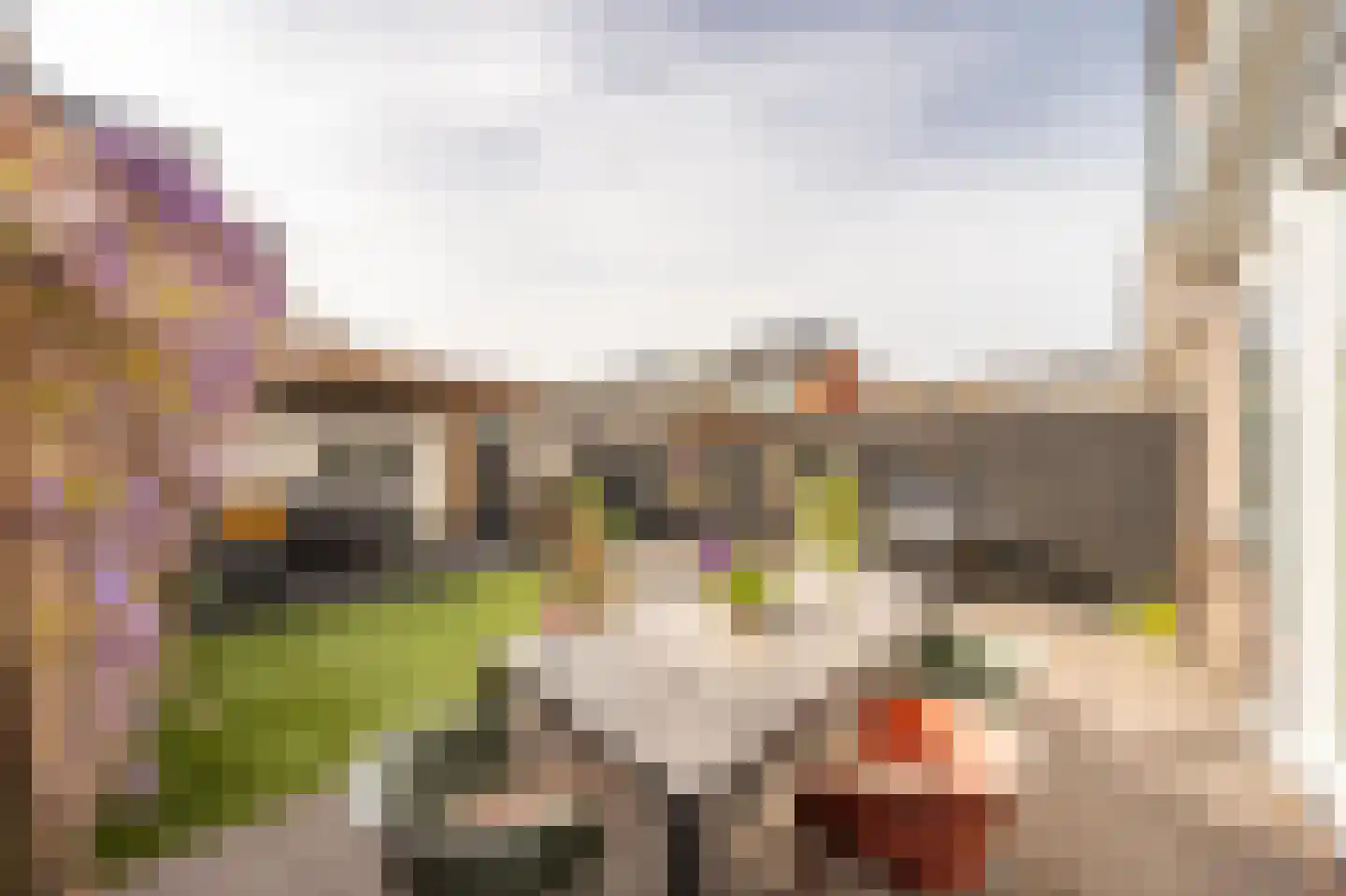 Roelof de Roverlaan 24 Montfoort thumbnail 39