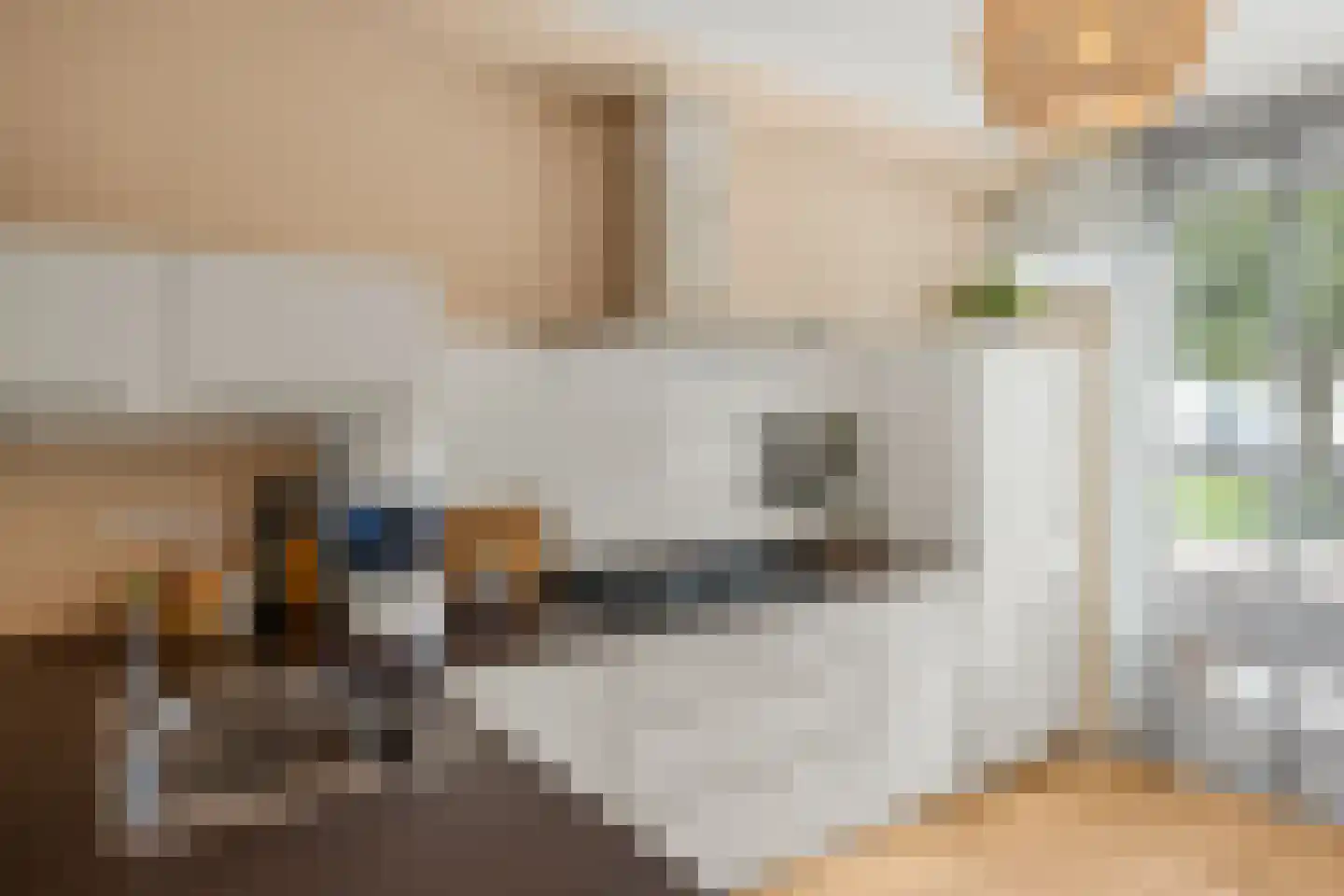 Roelof Drosthof 17 Utrecht thumbnail 10