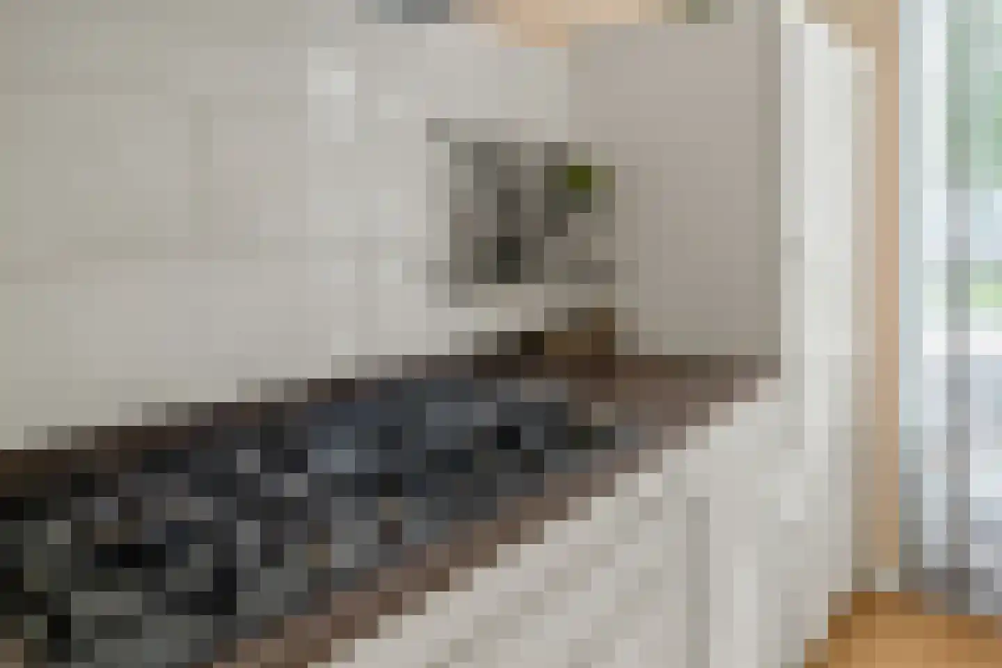 Roelof Drosthof 17 Utrecht thumbnail 12