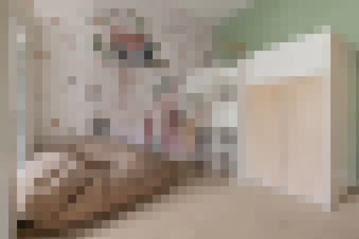 Roelof Drosthof 17 Utrecht thumbnail 27