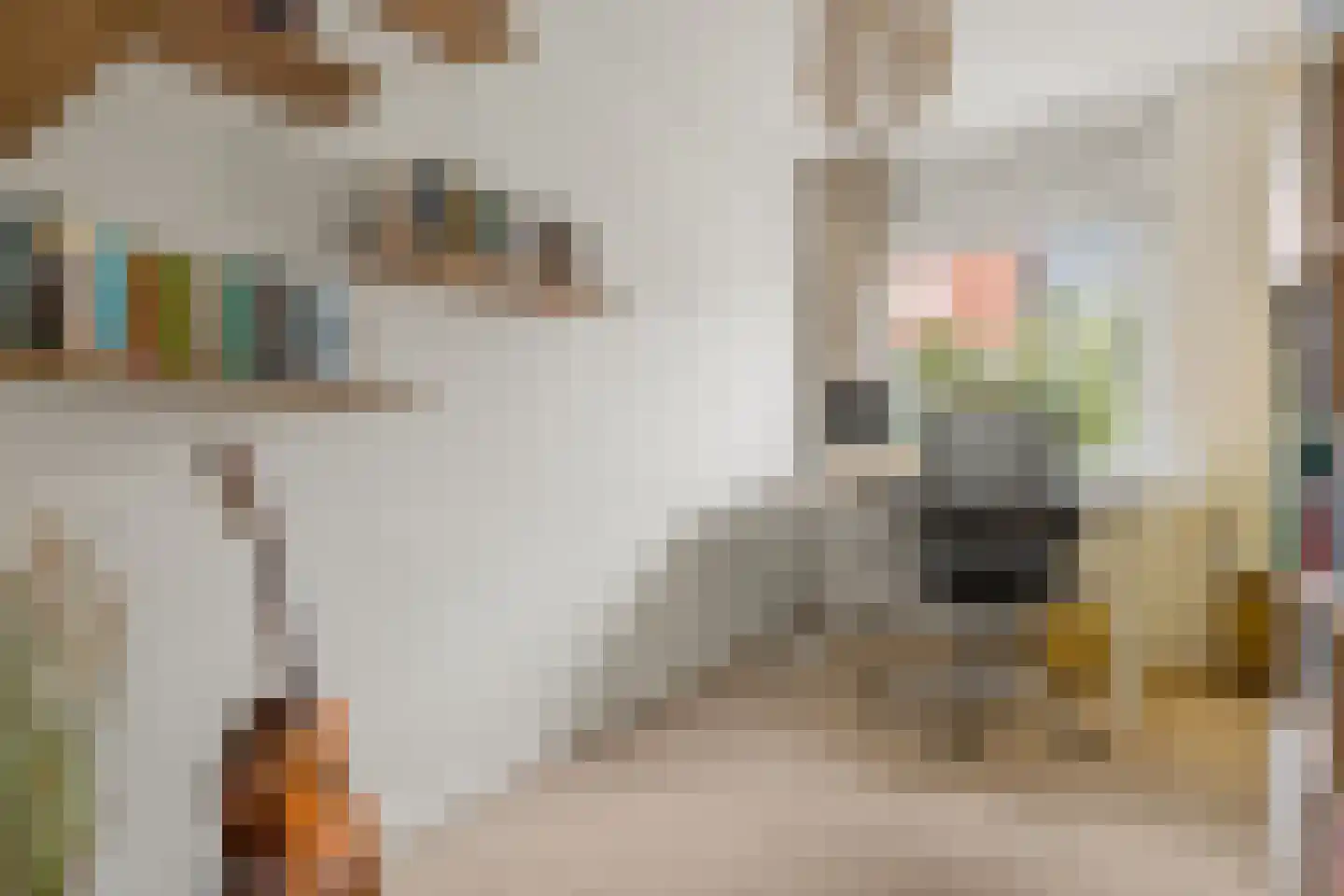 Roelof Drosthof 17 Utrecht thumbnail 35