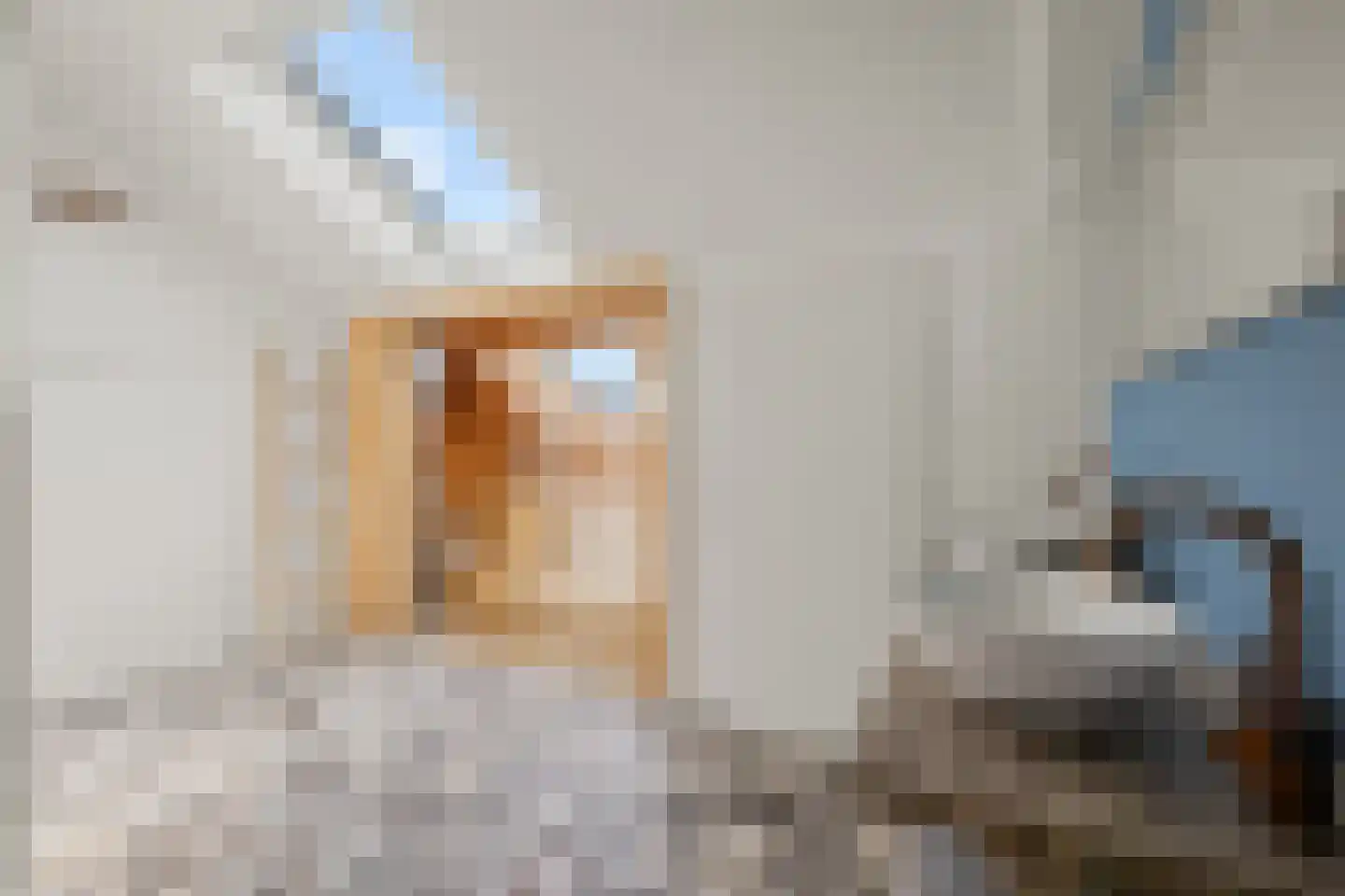 Roelof Drosthof 17 Utrecht thumbnail 41