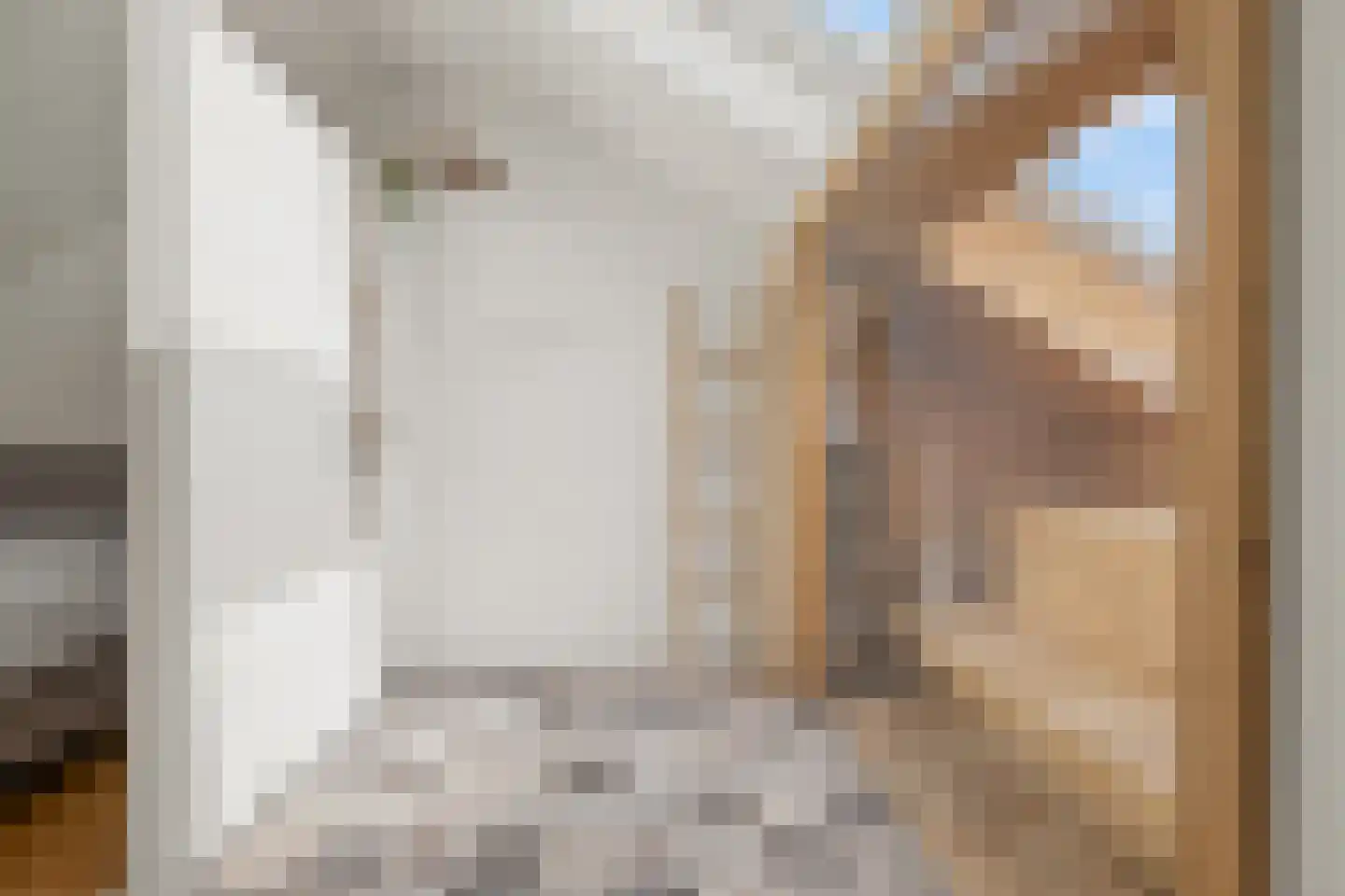Roelof Drosthof 17 Utrecht thumbnail 42