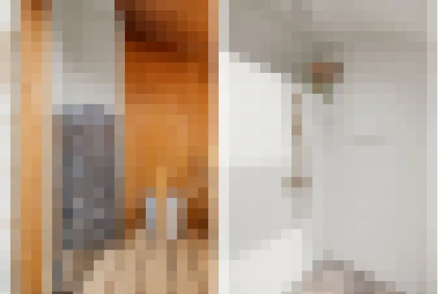 Roelof Drosthof 17 Utrecht thumbnail 45
