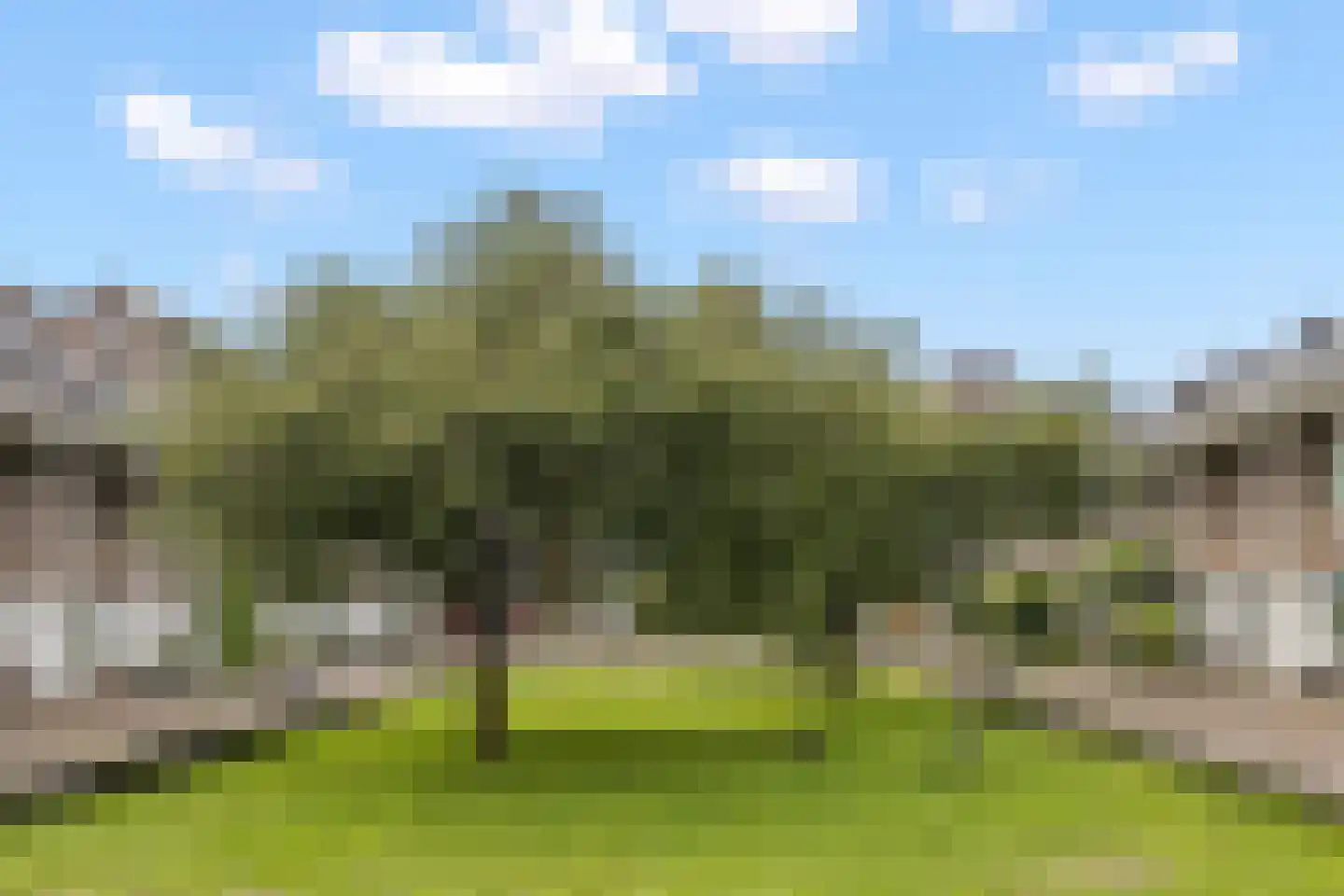 Roelof Drosthof 17 Utrecht thumbnail 48