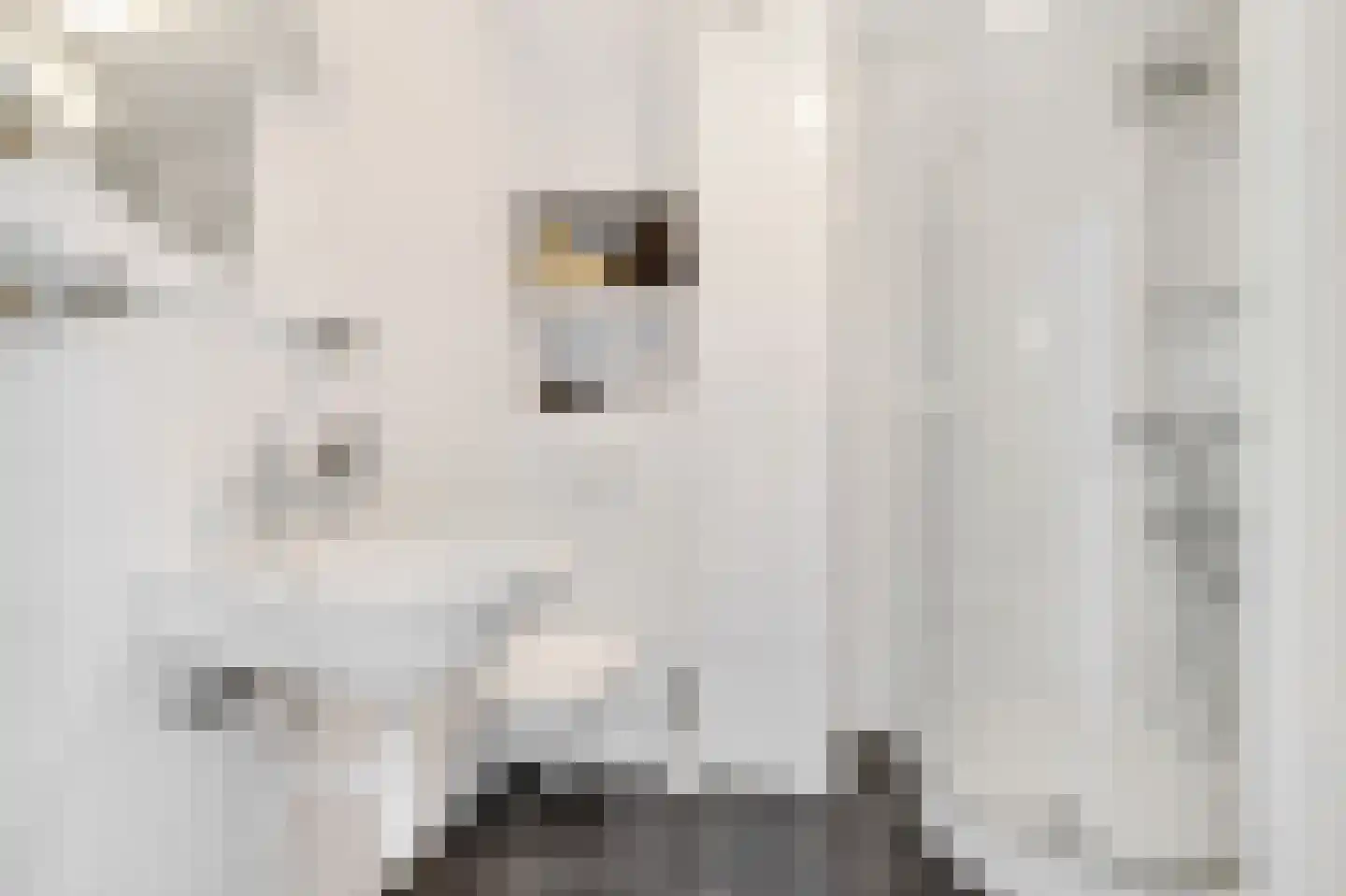Roelof Hartstraat 21 4 Amsterdam thumbnail 14