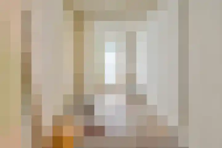 Roelof Hartstraat 38 1 Amsterdam thumbnail 26