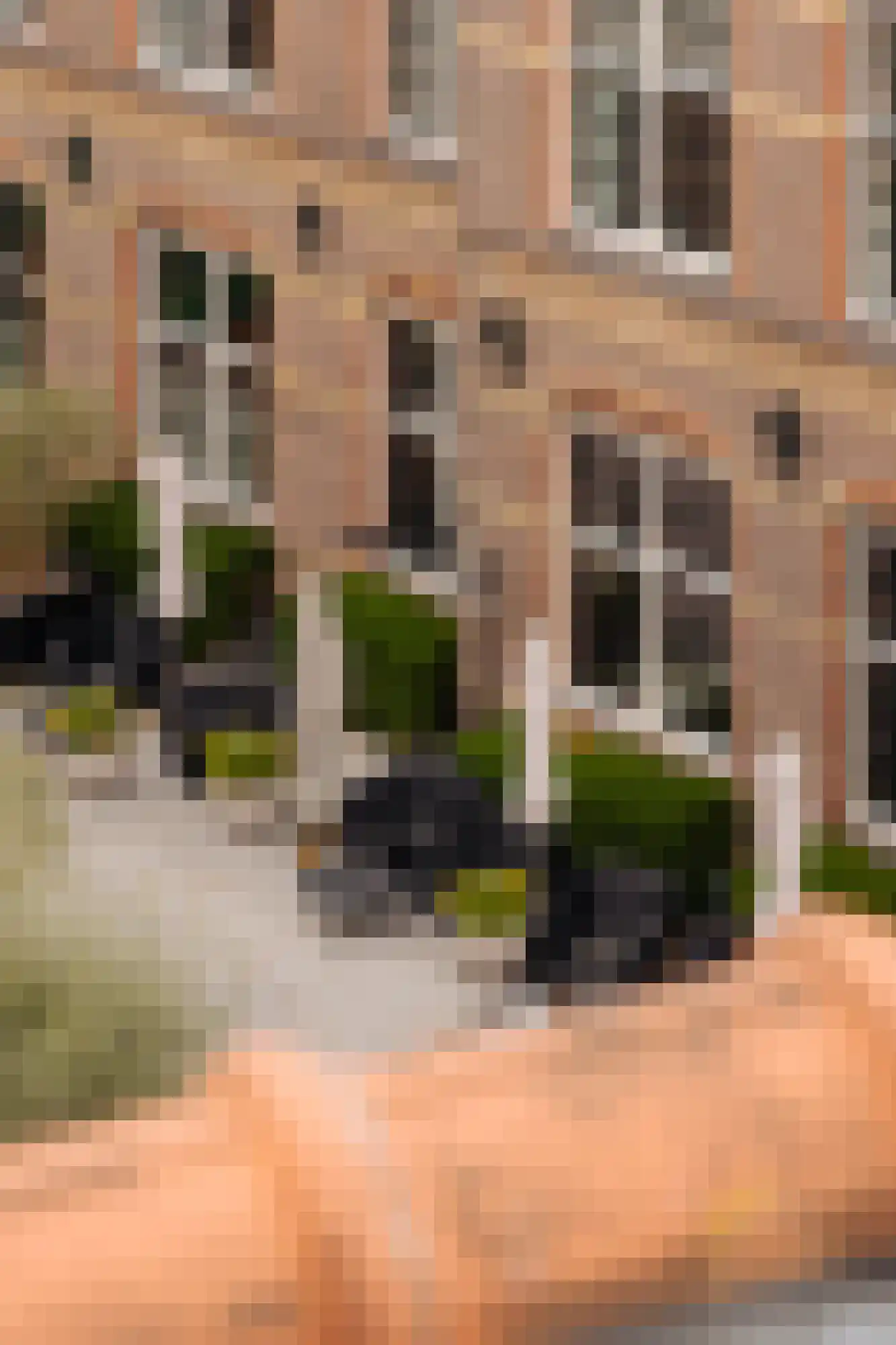 Roelof Hartstraat 5 4 Amsterdam thumbnail 24
