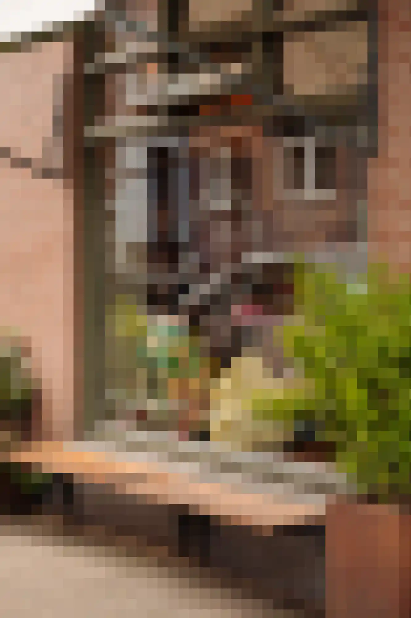 Roelof Hartstraat 5 4 Amsterdam thumbnail 26