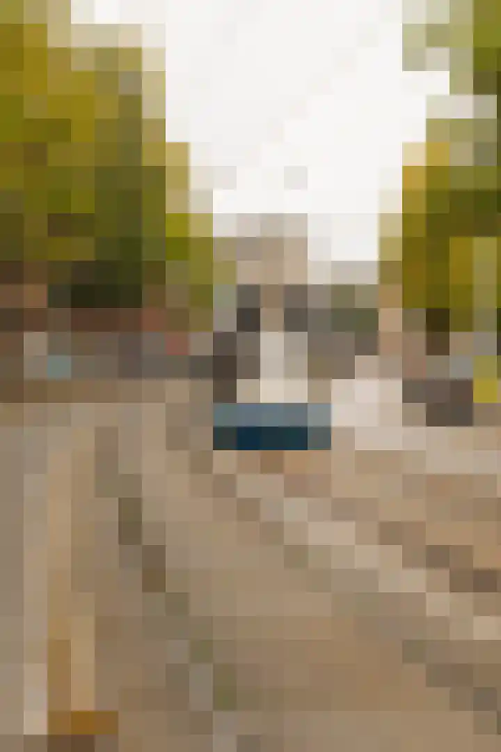 Roelof Hartstraat 5 H Amsterdam thumbnail 23