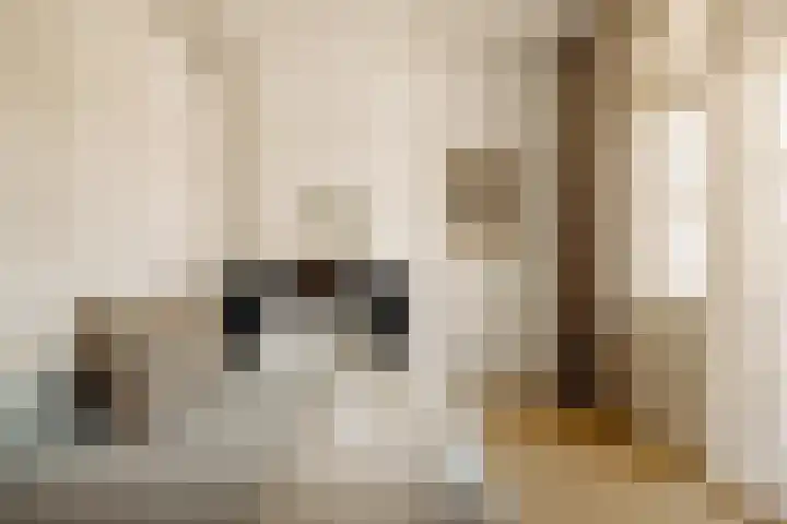 Roelof Hartstraat 5 H Amsterdam thumbnail 32