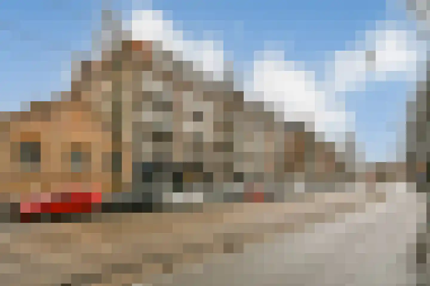 Roelof Hartstraat 7 2 Amsterdam thumbnail 19