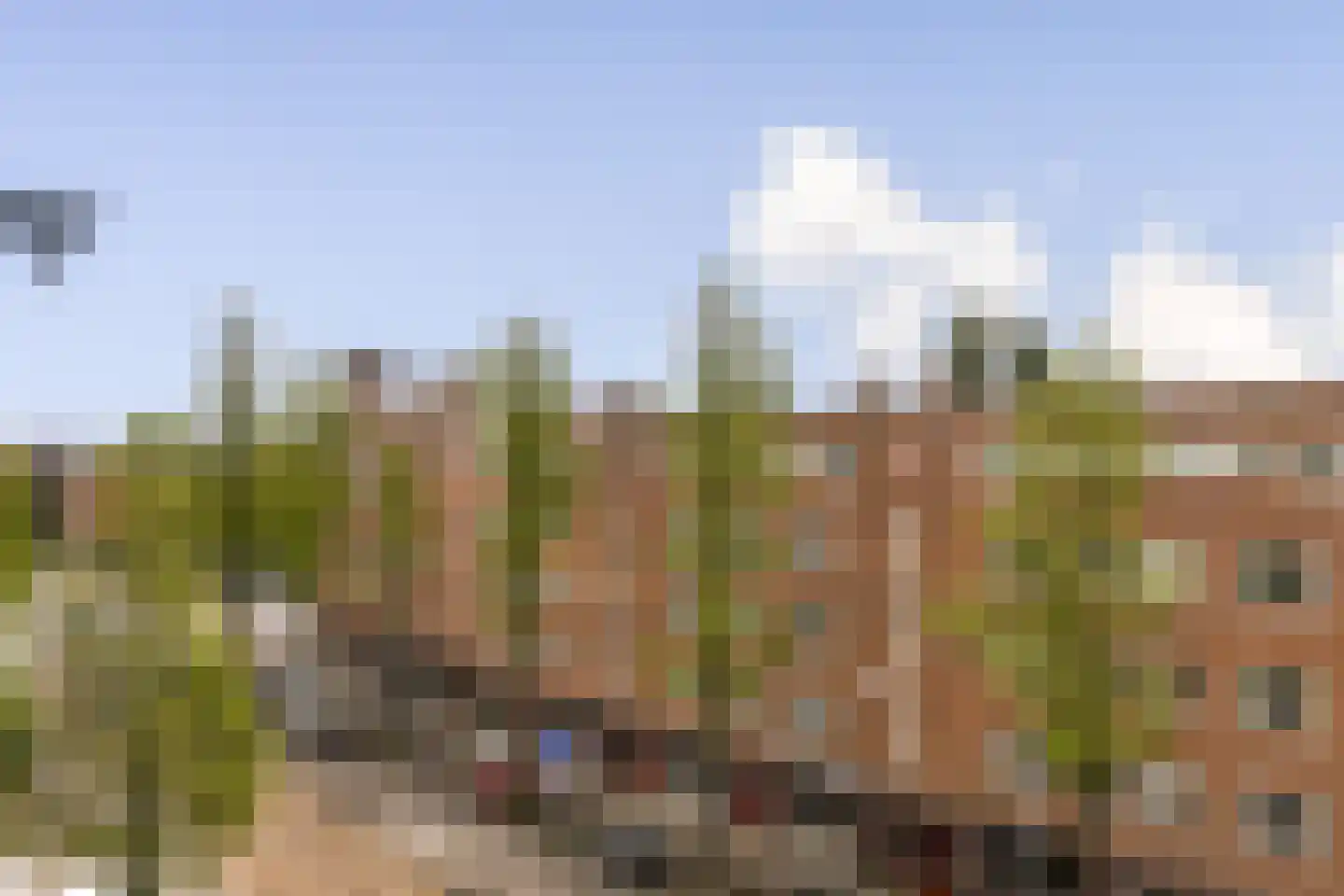 Roelof Hartstraat 7 4 Amsterdam thumbnail 23