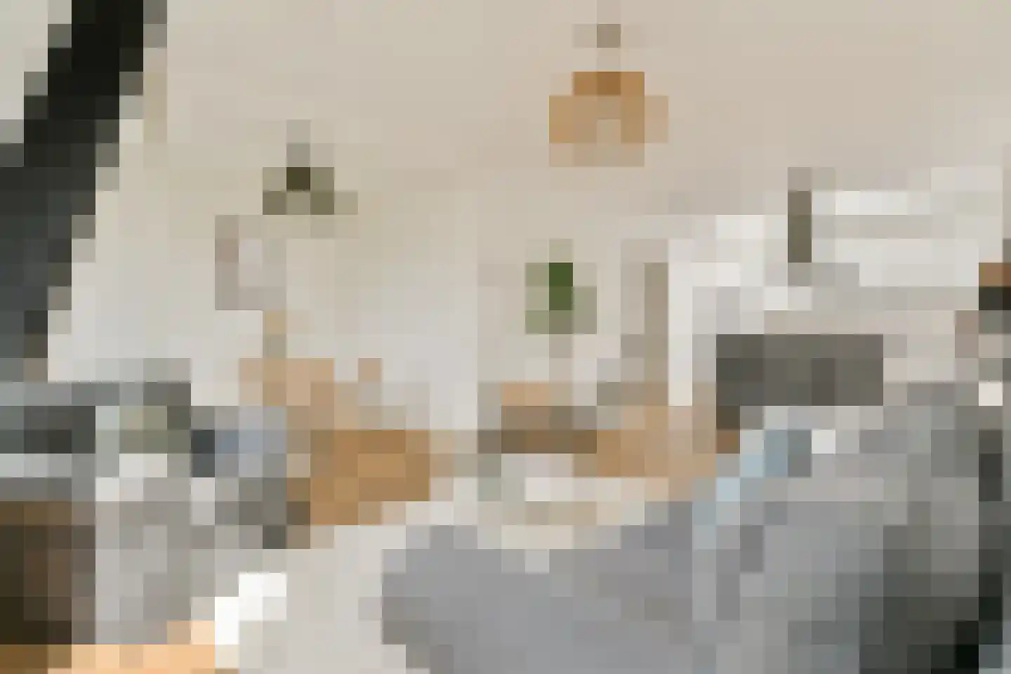 Roelof Hartstraat 7 4 Amsterdam thumbnail 9
