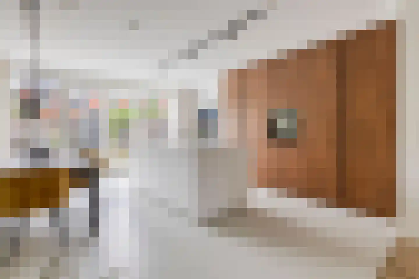 Roelof Kleinhof 1 Tilburg thumbnail 11