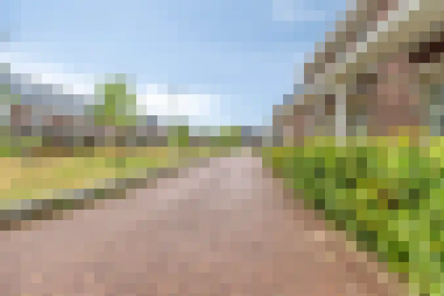 Roelof Kleinhof 1 Tilburg thumbnail 37