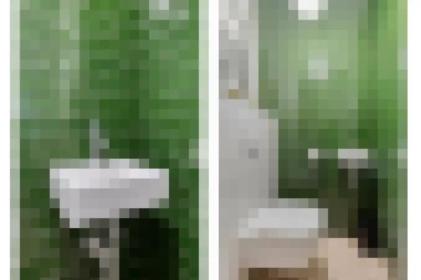 Roelof Kleinhof 1 Tilburg thumbnail 6