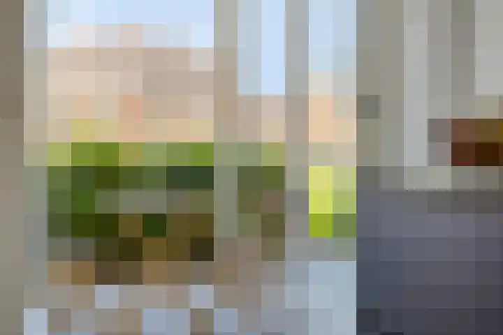 Roelof Kleinhof 14 Tilburg thumbnail 10