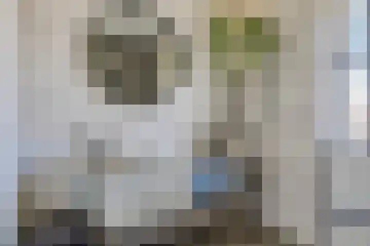 Roelof Kleinhof 14 Tilburg thumbnail 15