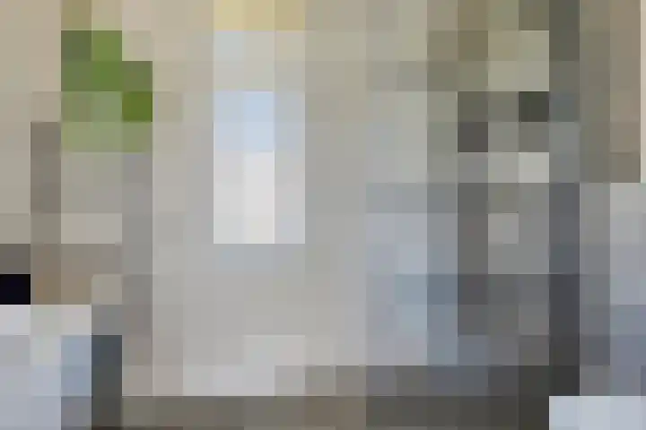 Roelof Kleinhof 14 Tilburg thumbnail 16