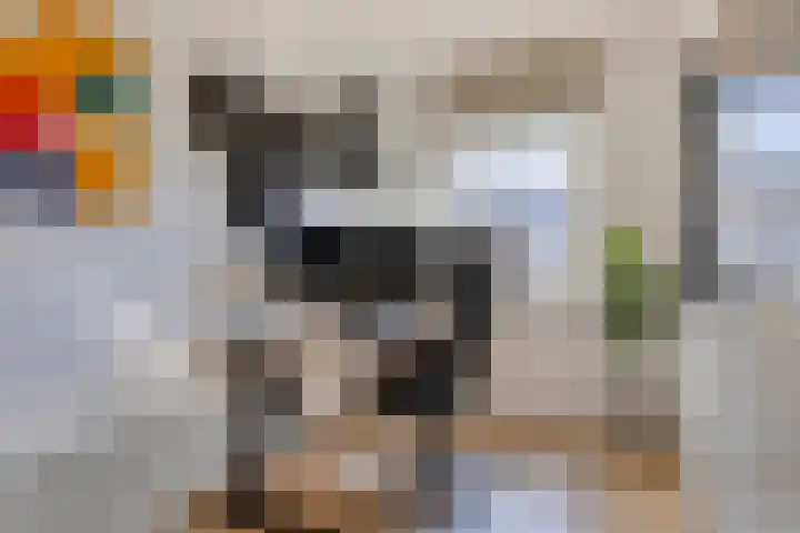 Roelof Kleinhof 14 Tilburg thumbnail 20