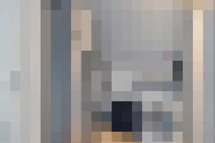Roelof Kleinhof 14 Tilburg thumbnail 24