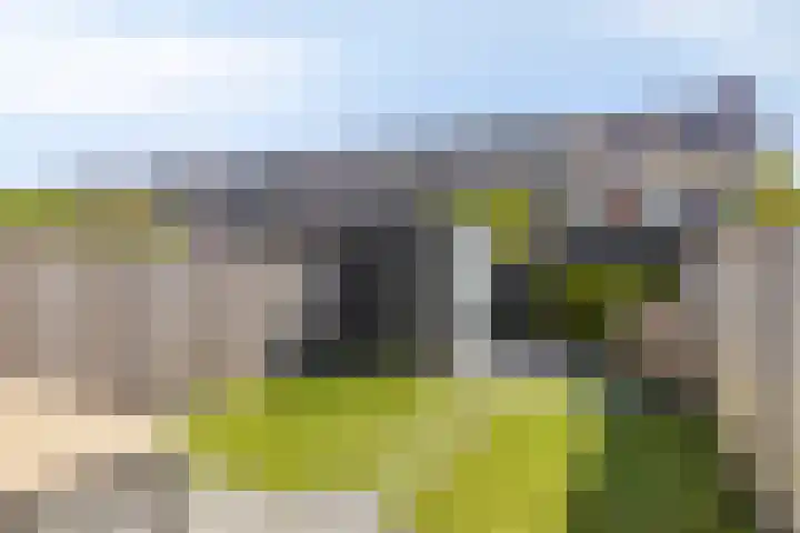 Roelof Kleinhof 14 Tilburg thumbnail 27