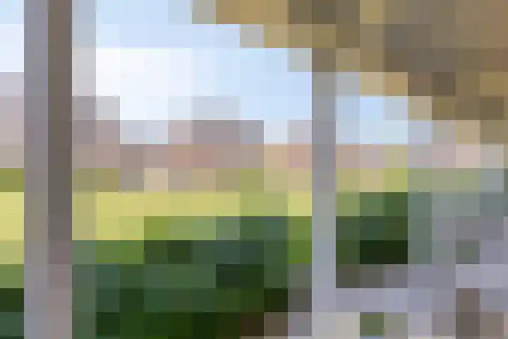 Roelof Kleinhof 14 Tilburg thumbnail 29