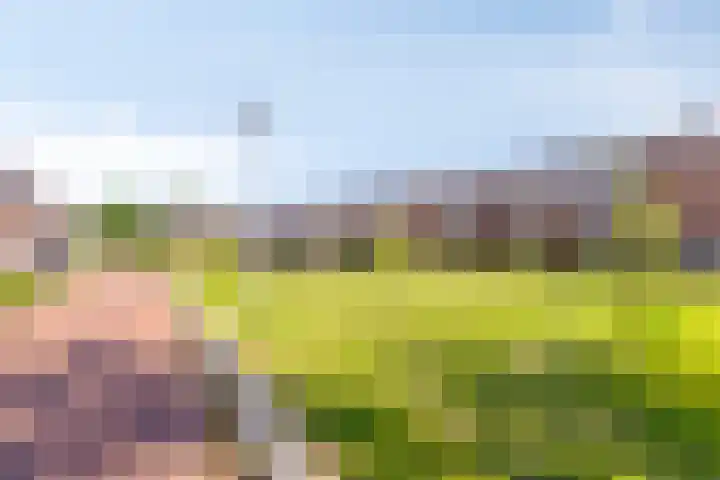 Roelof Kleinhof 14 Tilburg thumbnail 31