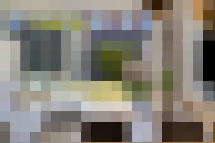 Roelof Kleinhof 14 Tilburg thumbnail 9