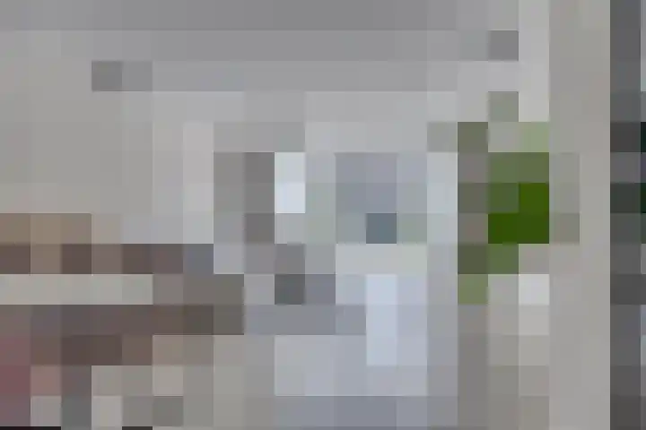 Roelof Kleinhof 6 Tilburg thumbnail 10