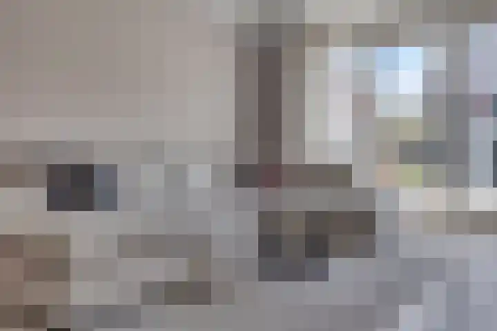 Roelof Kleinhof 6 Tilburg thumbnail 11