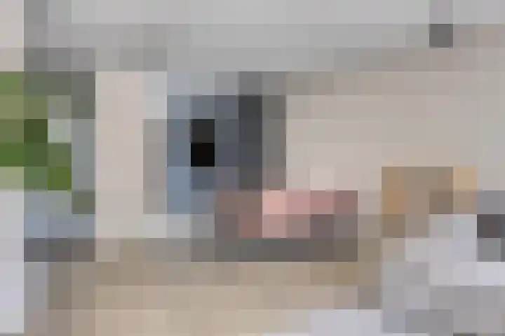 Roelof Kleinhof 6 Tilburg thumbnail 9