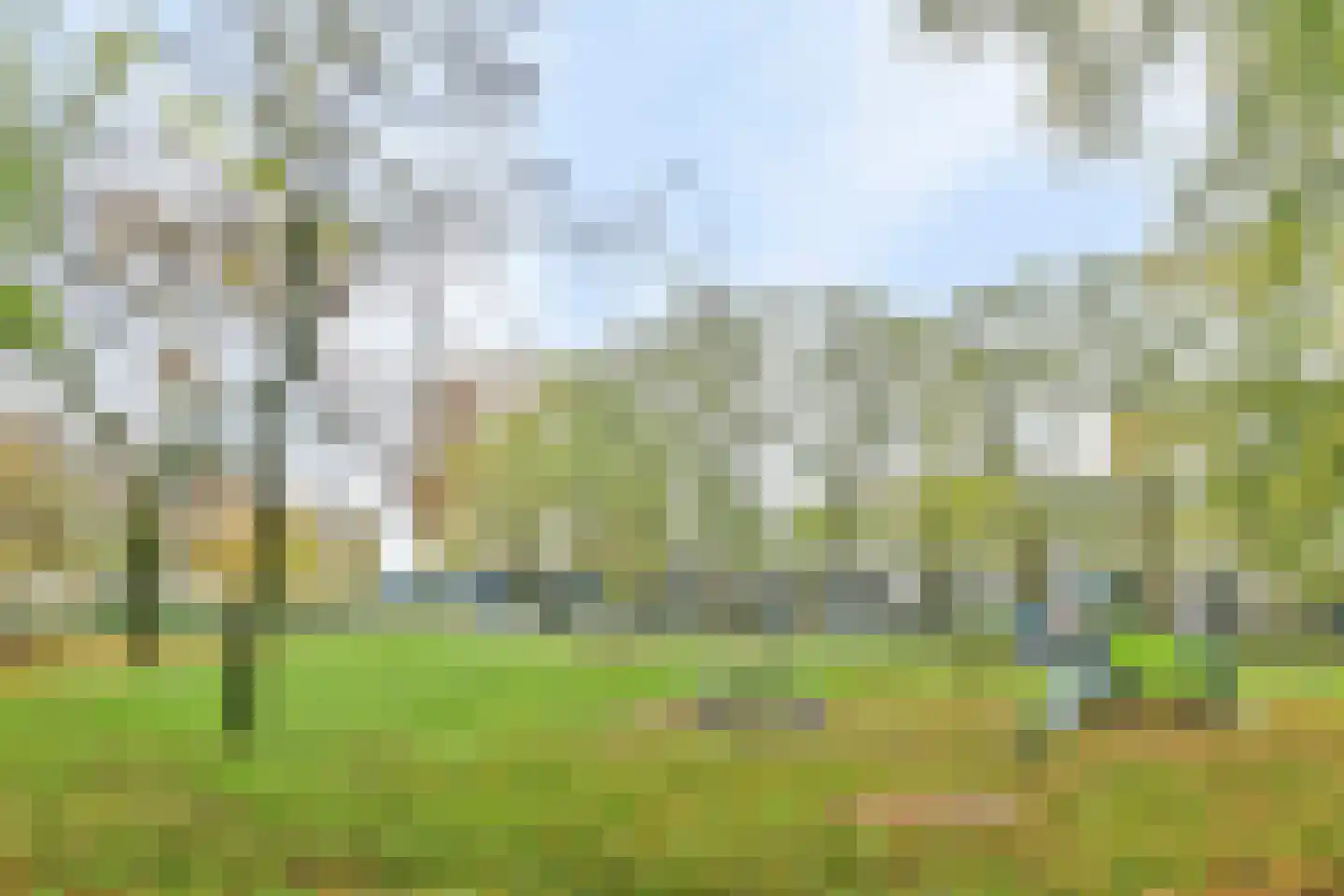 Roelof Kranenburgplein 28 Tilburg thumbnail 28