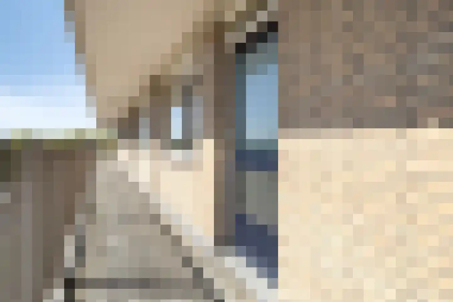 Roelof Kranenburgplein 28 Tilburg thumbnail 5