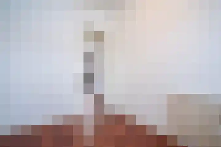 Roelof Kranenburgplein 32 Tilburg thumbnail 18