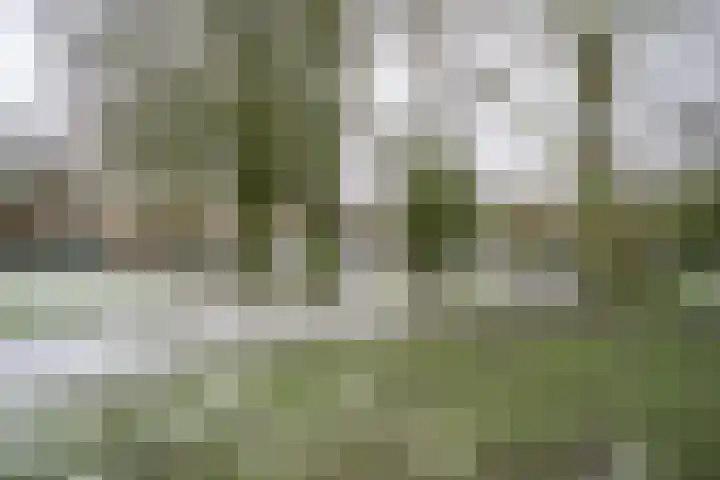 Roelof Kranenburgplein 32 Tilburg thumbnail 26
