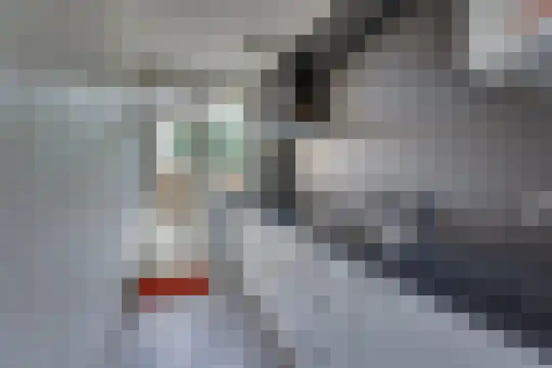 Roelof van Schevenstraat 221 Enschede thumbnail 13